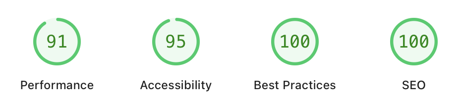 Google Lighthouse scores: Performance 91, Accessibility 95, Best Practices 100, SEO 100